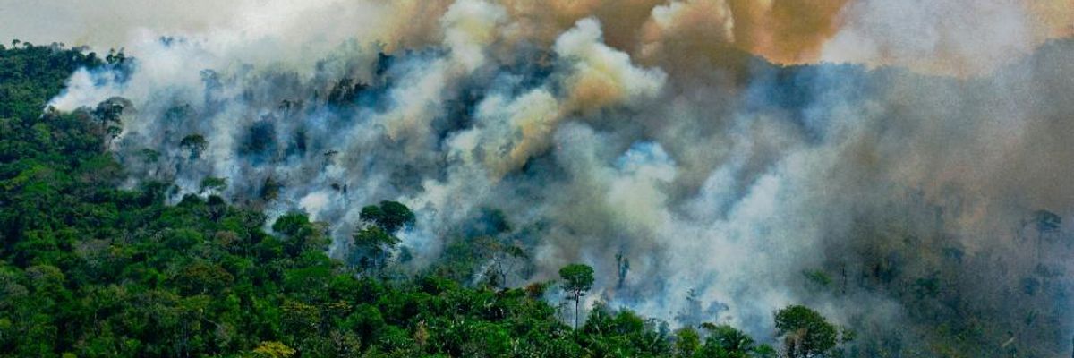 'A Crisis for Climate Stability': Data Shows Rainforest Destruction Accelerated in 2020