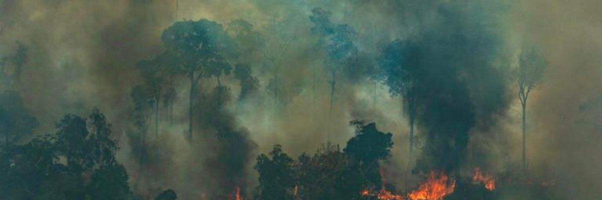 We Are Facing a Global Emergency in the Amazon. Here's What We Can Do
