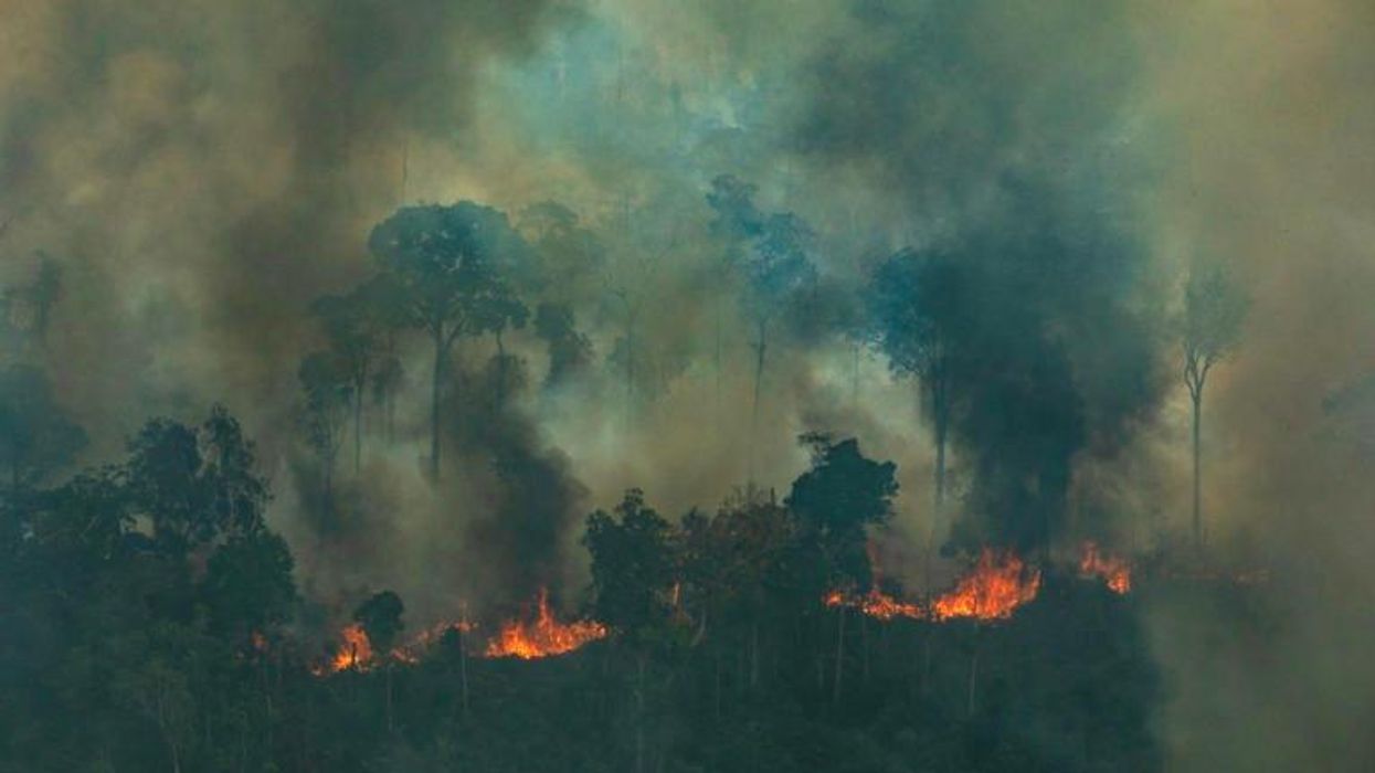 We Are Facing a Global Emergency in the Amazon. Here's What We Can Do