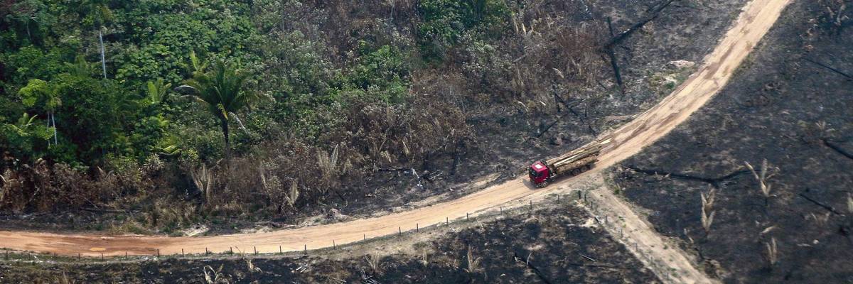Aerial view of burnt parts of the Amazon.