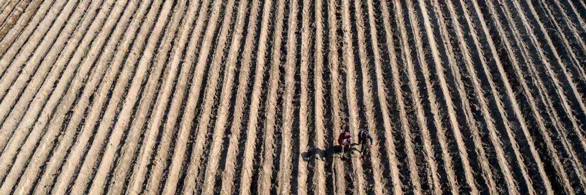 Mexico's Decision to Ban Glyphosate Has Rocked the Agribusiness World