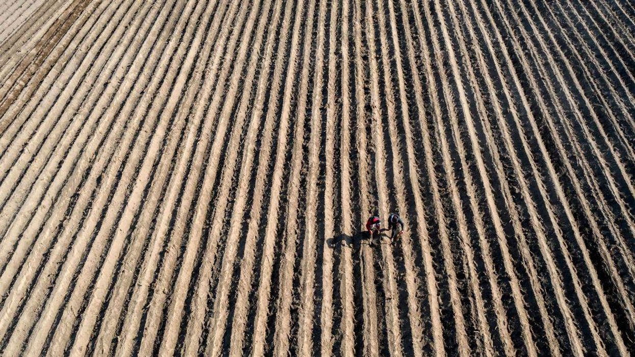 Mexico's Decision to Ban Glyphosate Has Rocked the Agribusiness World