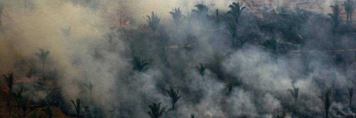 As New Fires Rage in Amazon, Global Calls for Urgent Action to Avert 'Astronomical' Impacts to 'Life on Earth'