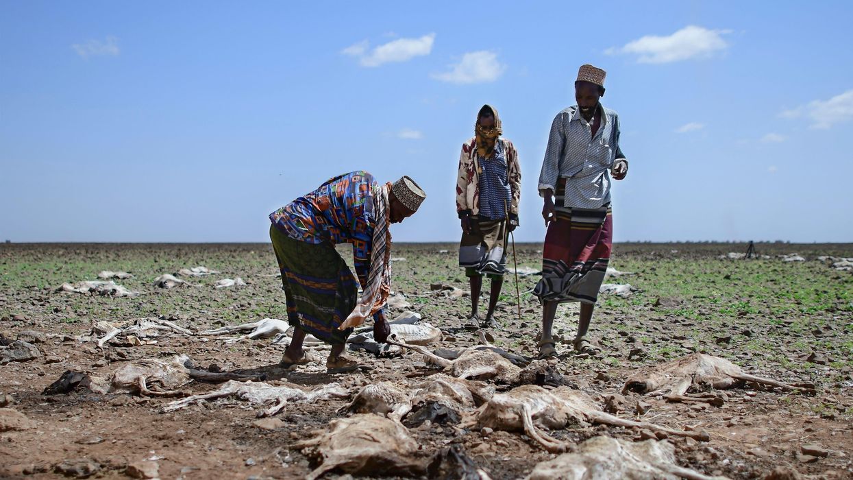 Africa Drought