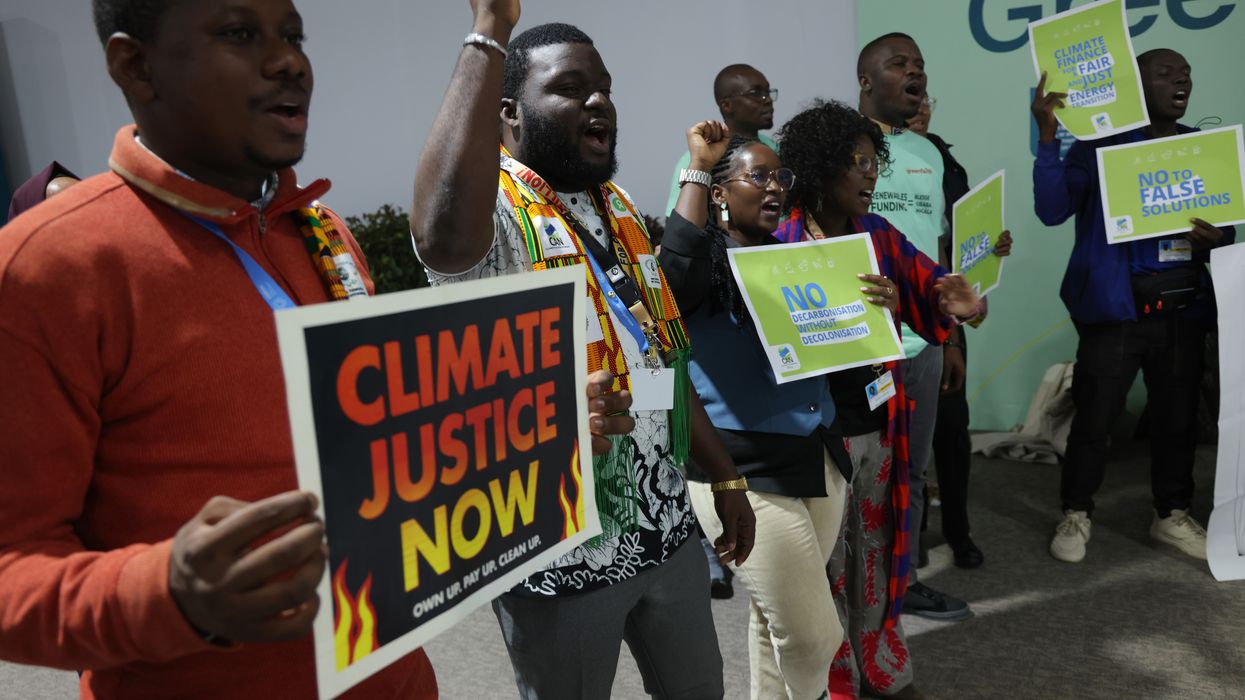 African activists at COP29.
