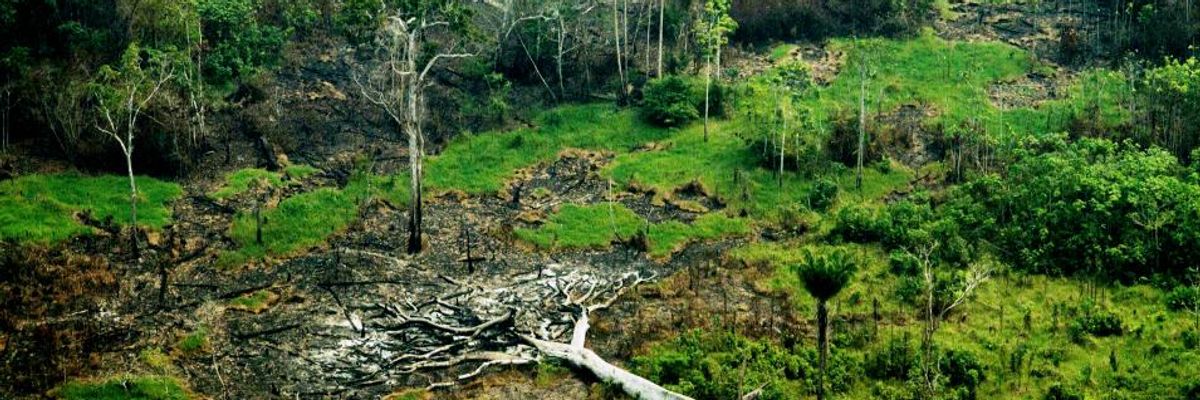 Where Journalism Is Planted, Democracy Blooms