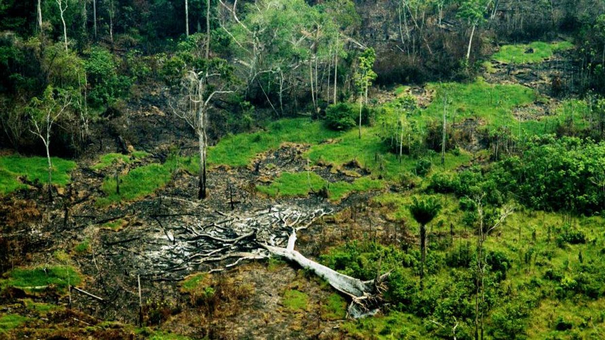 Where Journalism Is Planted, Democracy Blooms