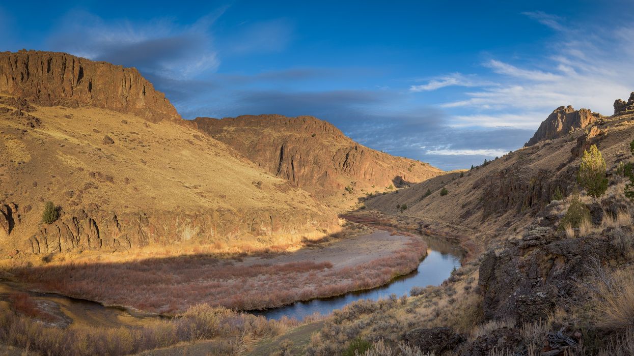Afternoon sunlight shines on the Owyhee River.