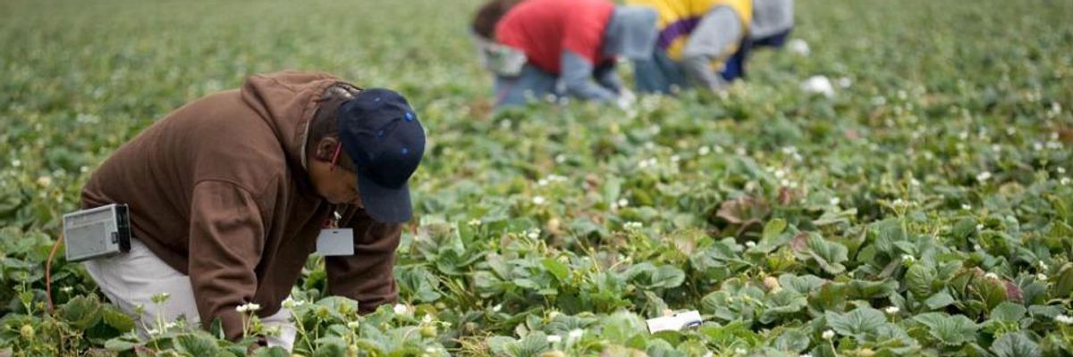 Big Win for Farm Workers as EPA Moves to Ban Dangerous Pesticide