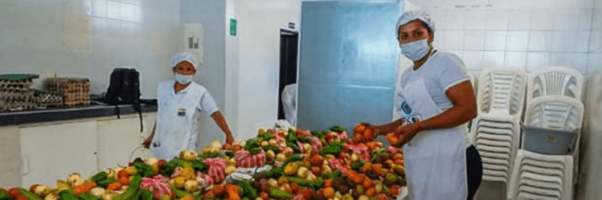 Agroecology is essential