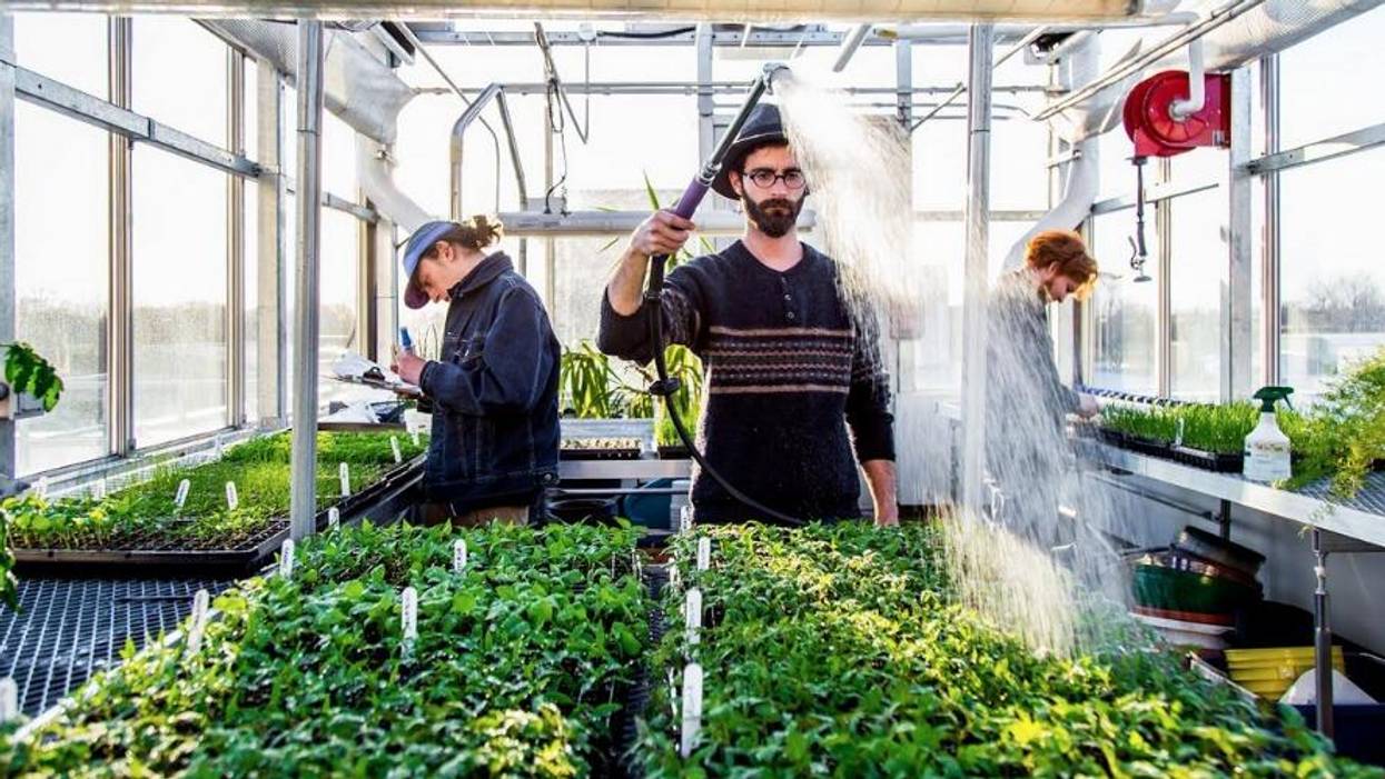 Agroecology: Radically Changing How We Face Food Insecurity and Climate Change