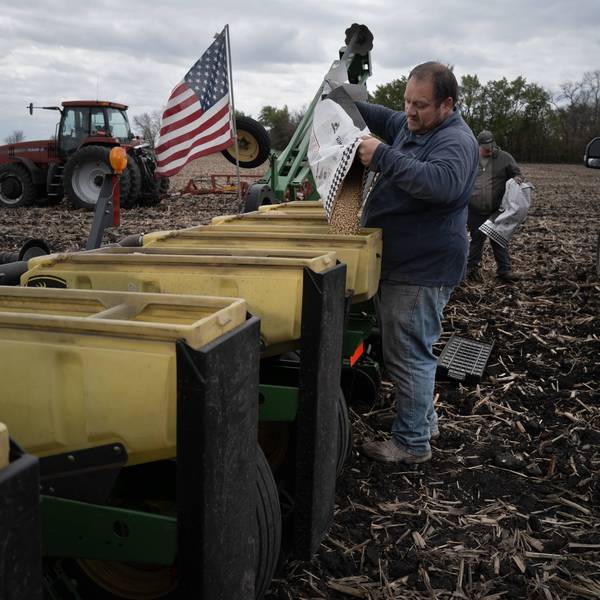 'Misled' and 'Strung Along' by Trump, Financial Pain of Farmers Grows as Costs Continue to Skyrocket