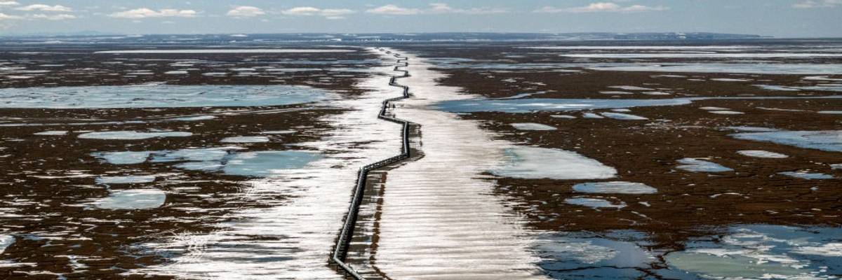 Alaska Climate Change Wildlife Oil Drilling Caribou Birds
Science