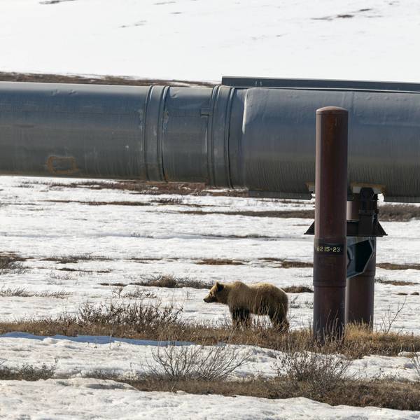 Alaska's Dalton Highway: One Of The World's Most Northern Stretches Of Road