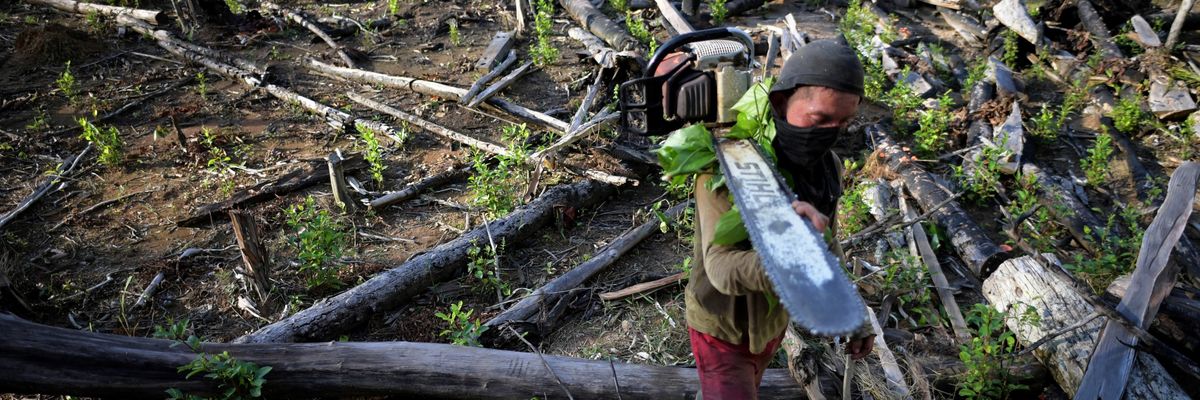Amazon deforestation