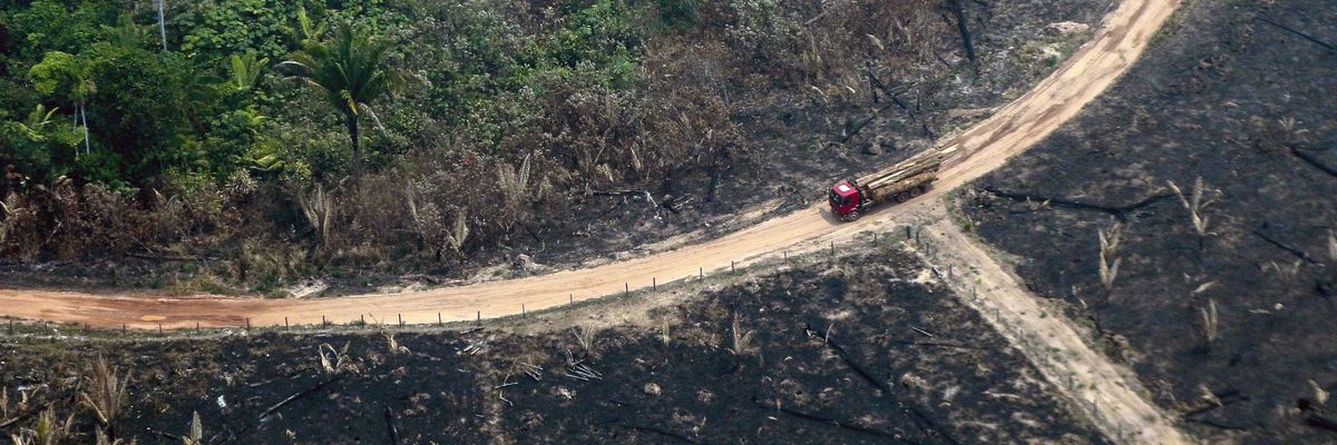 Amazon destruction under Bolsonaro