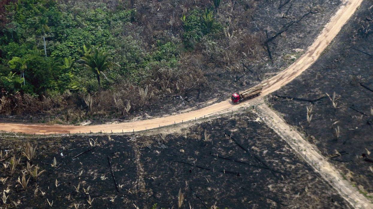 Amazon destruction under Bolsonaro