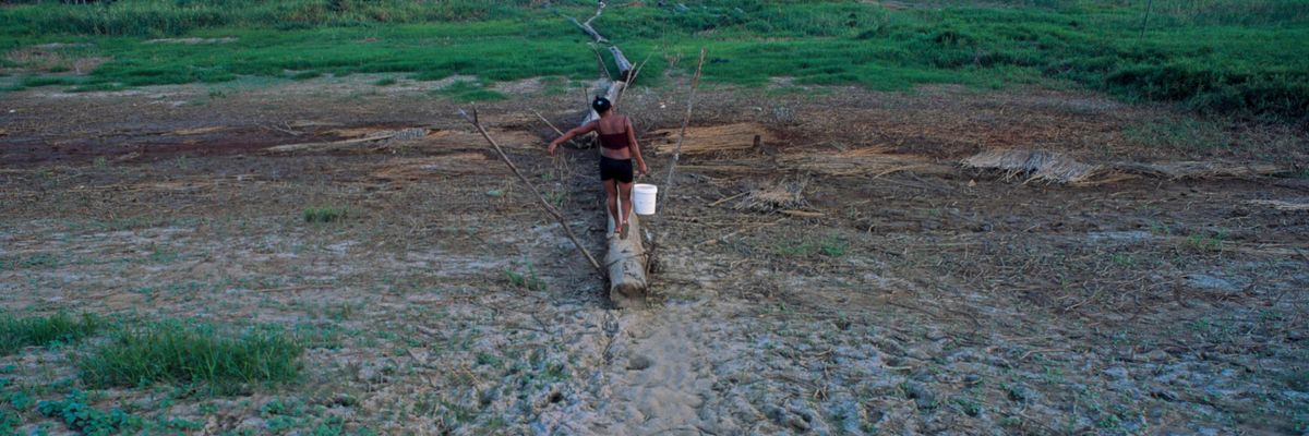 Amazon Drought