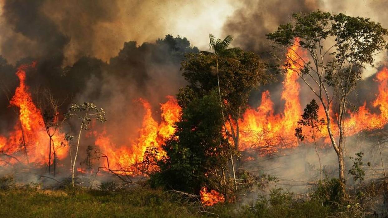 amazon_fires