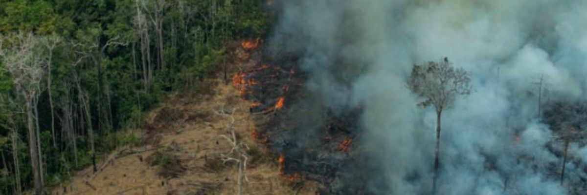 Activists Follow the Money Fueling Amazon Fires