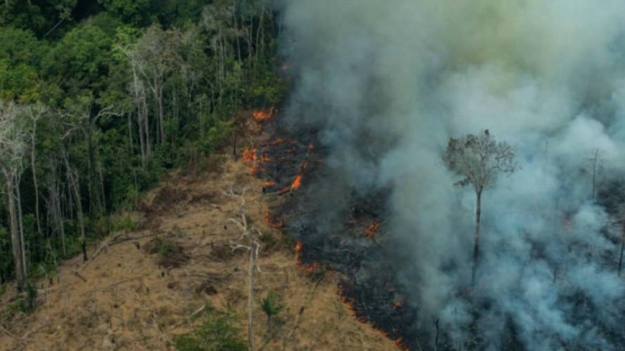 Activists Follow the Money Fueling Amazon Fires