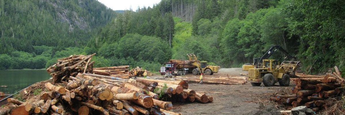 An active logging camp operates at Shoal Harbour on Gilford Island in the Broughton Archipelago, British Columbia, Canada. (Photo:Â David Stanley via Flickr)