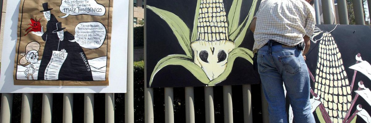 80 Groups Blast US Interference in Mexico's Phaseout of Glyphosate and GM Corn
