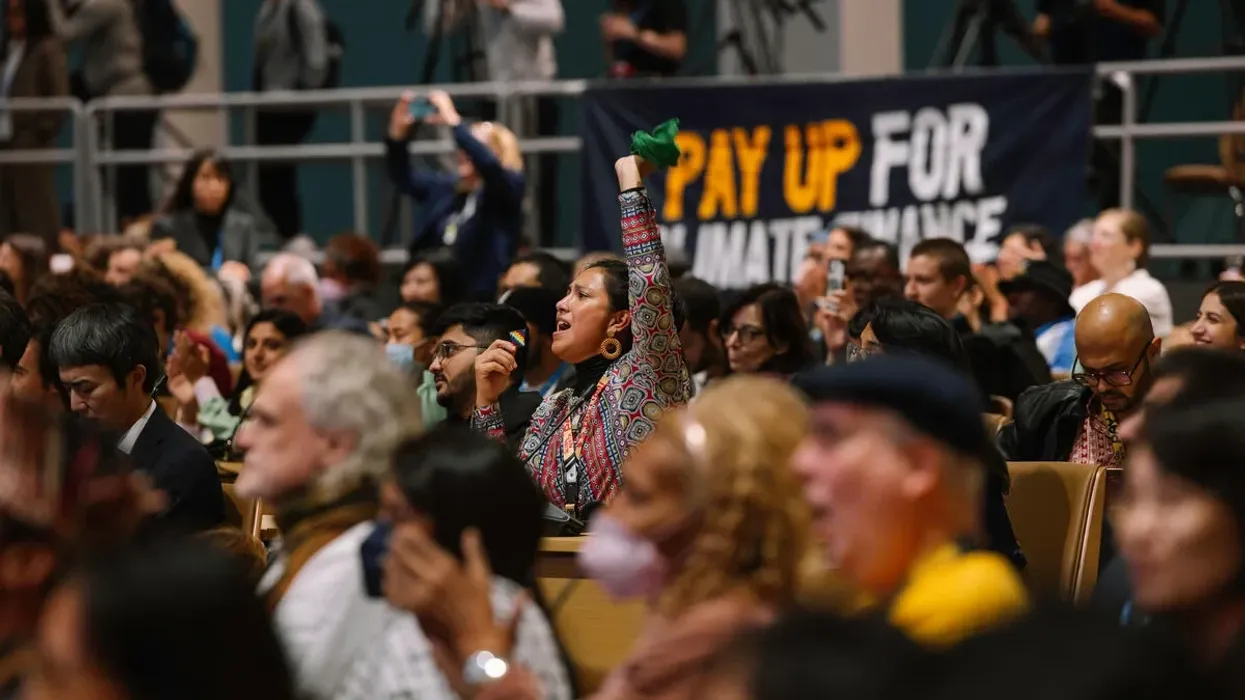 An activist raises an arm in solidarity at COP29
