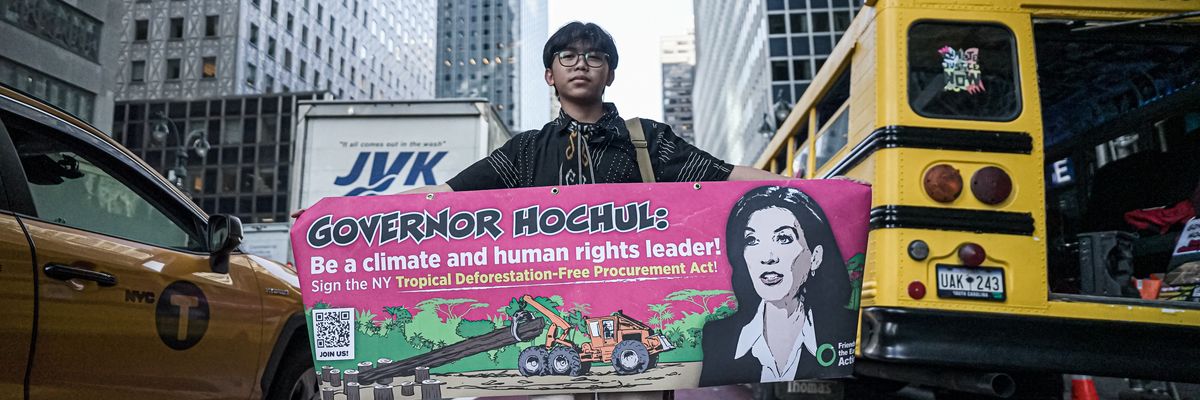 An activist stands with a pink banner calling on New York Gov. Kathy Hochul to sign an anti-deforestation law.
