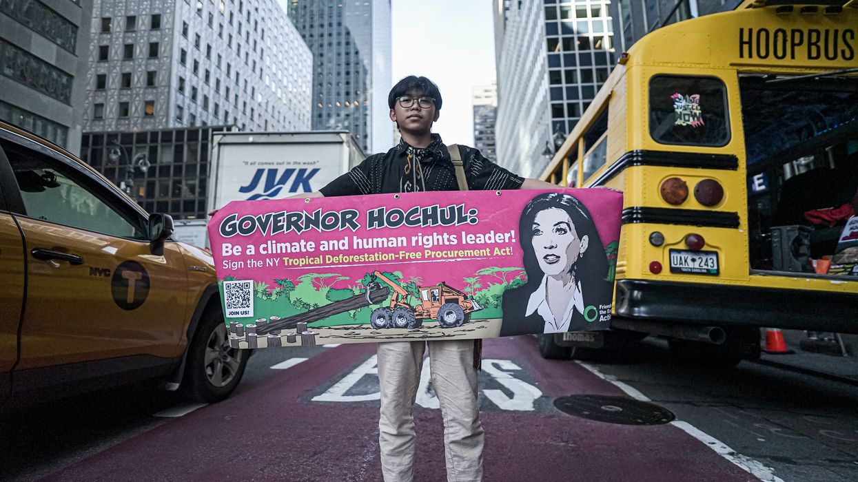 An activist stands with a pink banner calling on New York Gov. Kathy Hochul to sign an anti-deforestation law.