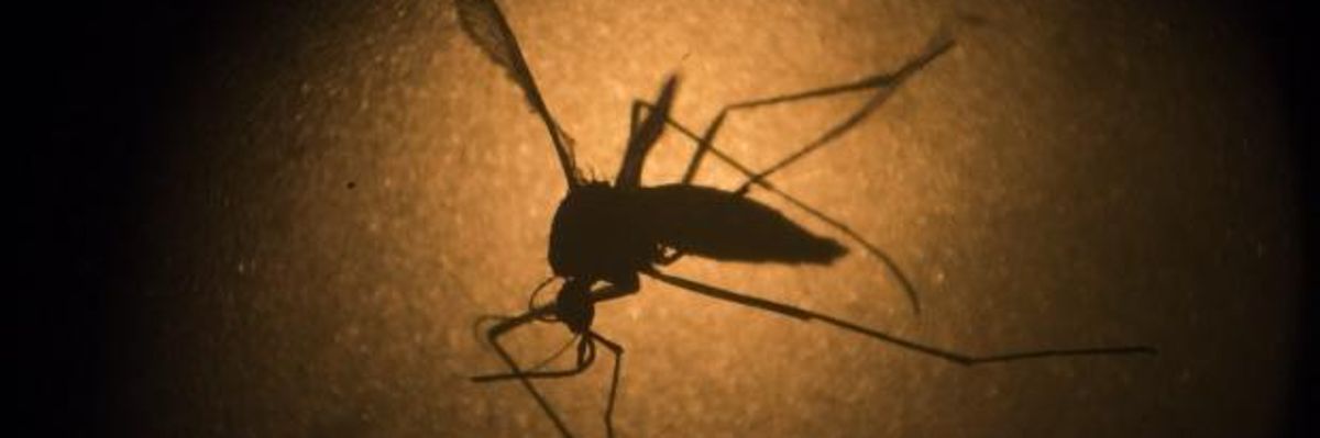A Serious Response Is Needed, But Let's Not "Wage War" on Zika