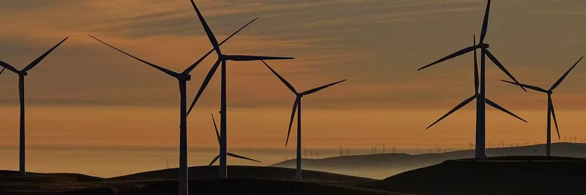 Trump Accused of ‘Mugging’ Americans as War on Clean Energy Set to Cost US Economy $55 Billion a Year