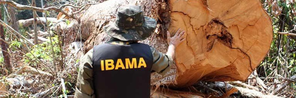 Bolsonaro Government Reveals Plan to Develop the 'Unproductive Amazon'