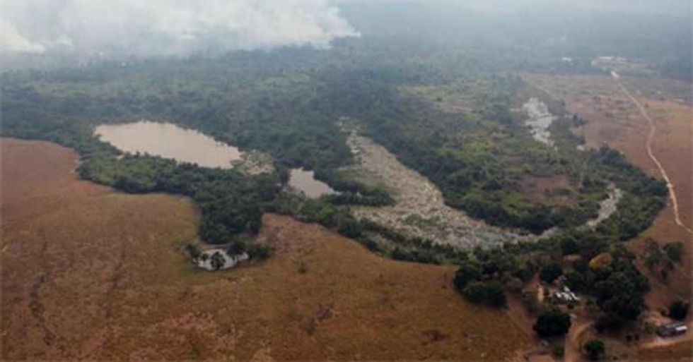An area of Amazon forest cleared illegally by the AJ Vilela gang of land thieves near the Bau indigenous reserve. Land grabbing will become significantly easier and cheaper under the new law. Photo courtesy of Brazil's Environmental Protection Directorate (Diretoria de Protecao Ambiental - IBAMA)