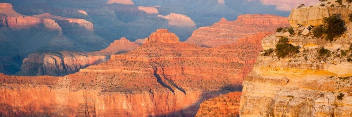 With Viral Tweet, Activist Urges Defeat of Massive Grand Canyon Development That Threatens Local Tribe's Water