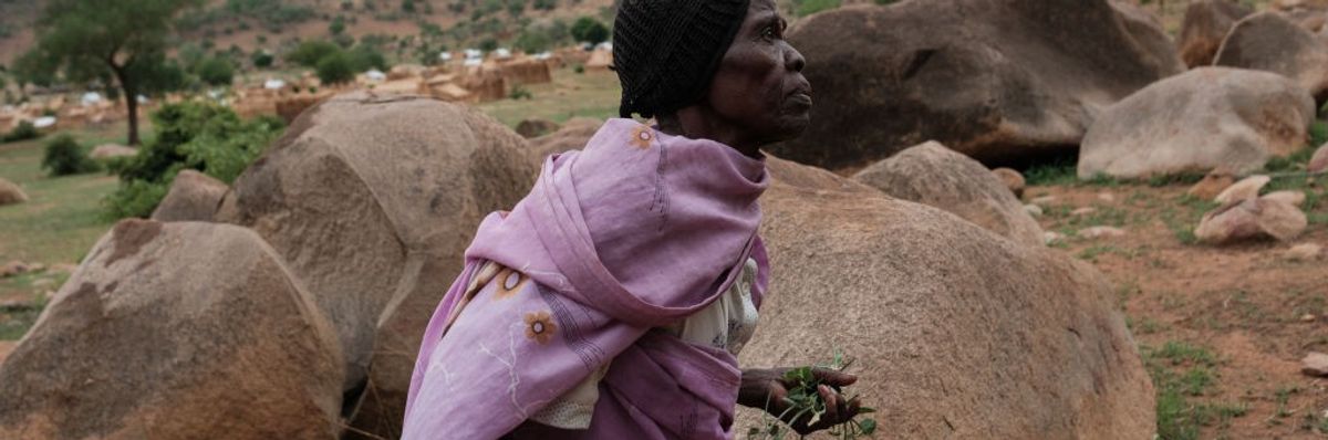 An elderly Sudanese woman gathers wild plants to use as vegetables amid famine