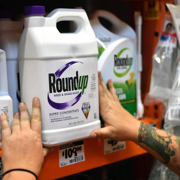 An employee adjusts Roundup products on a shelf at a store