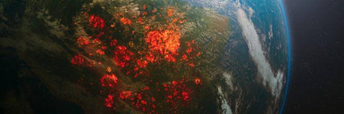 The Future of the Amazon Rainforest Under Lula