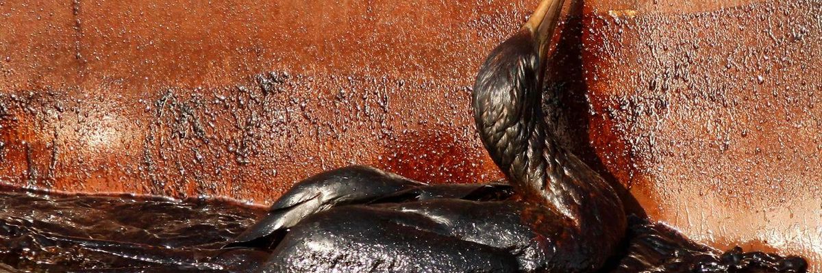 Cruelty Without Consequence Is Trump's Way