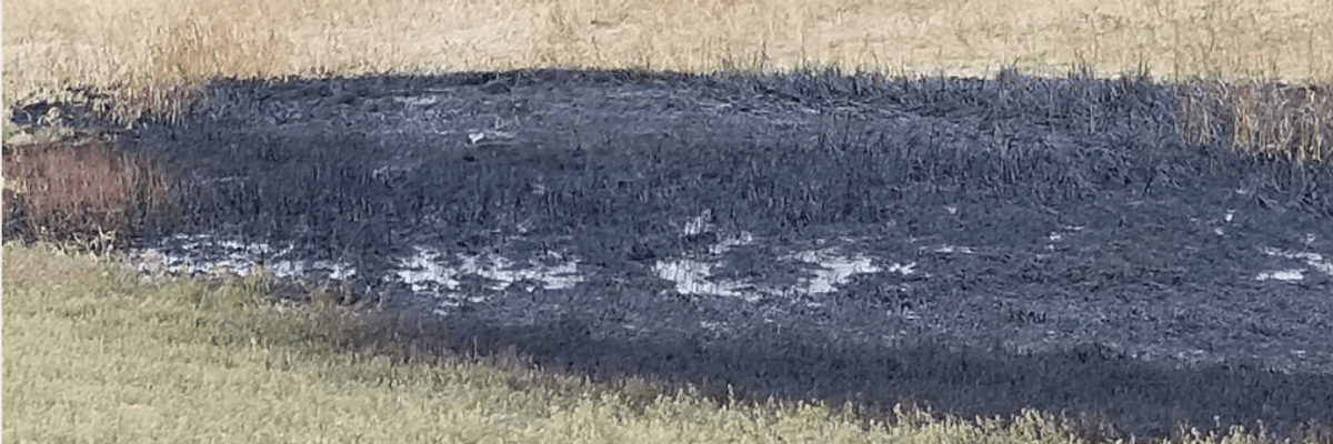 'It Happens Over and Over and Over and Over': Keystone Pipeline Leaks (at Least) 383,000 Gallons of Crude Oil in North Dakota