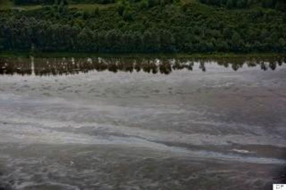 An oily sheen coats the North Saskatchewan River after last week's spill. (Photo: Jason Franson/Canadian Press)