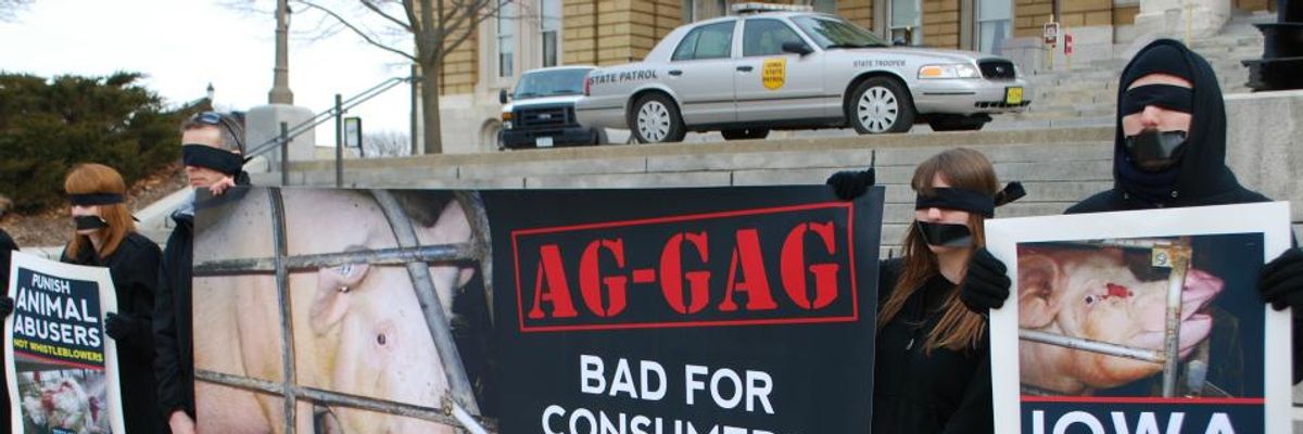 Victory for Free Speech and Animal Welfare as Federal Judge Strikes Down Iowa 'Ag-Gag' Law