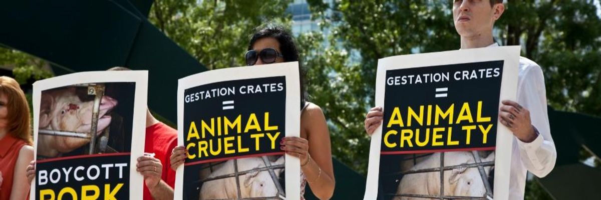 Utah's 'Ag-Gag' Law May Have Found First Legal Targets