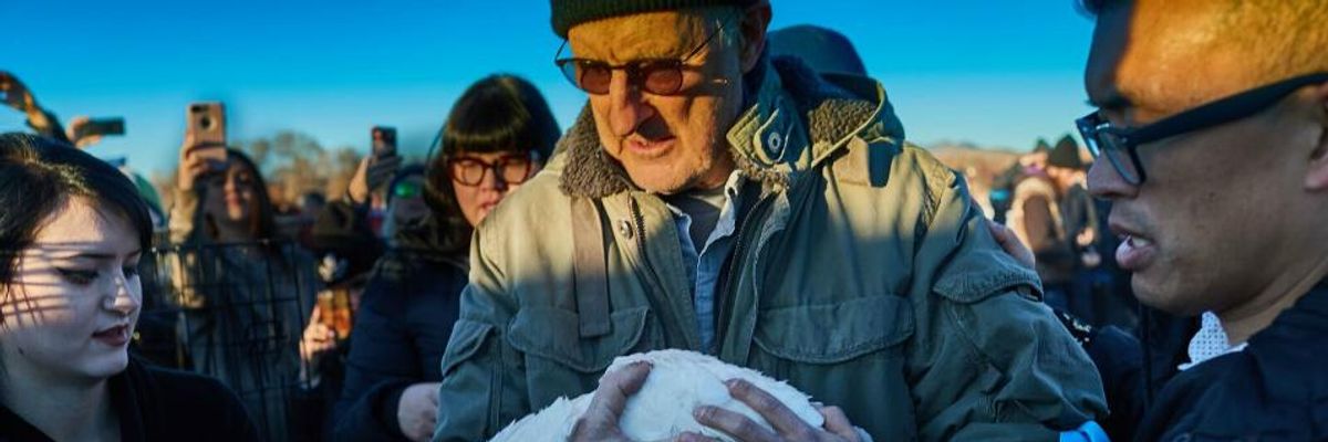 In Heartwarming 'Act of Thanksgiving Mercy,' Farmer Turns Over 100 Turkeys to Animal Rights Group