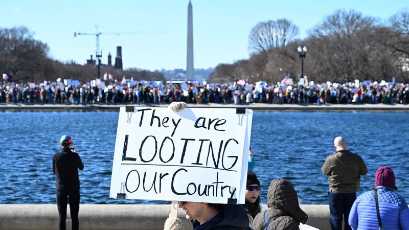 Anti-Trump protest with sign saying, "They are looting our country."