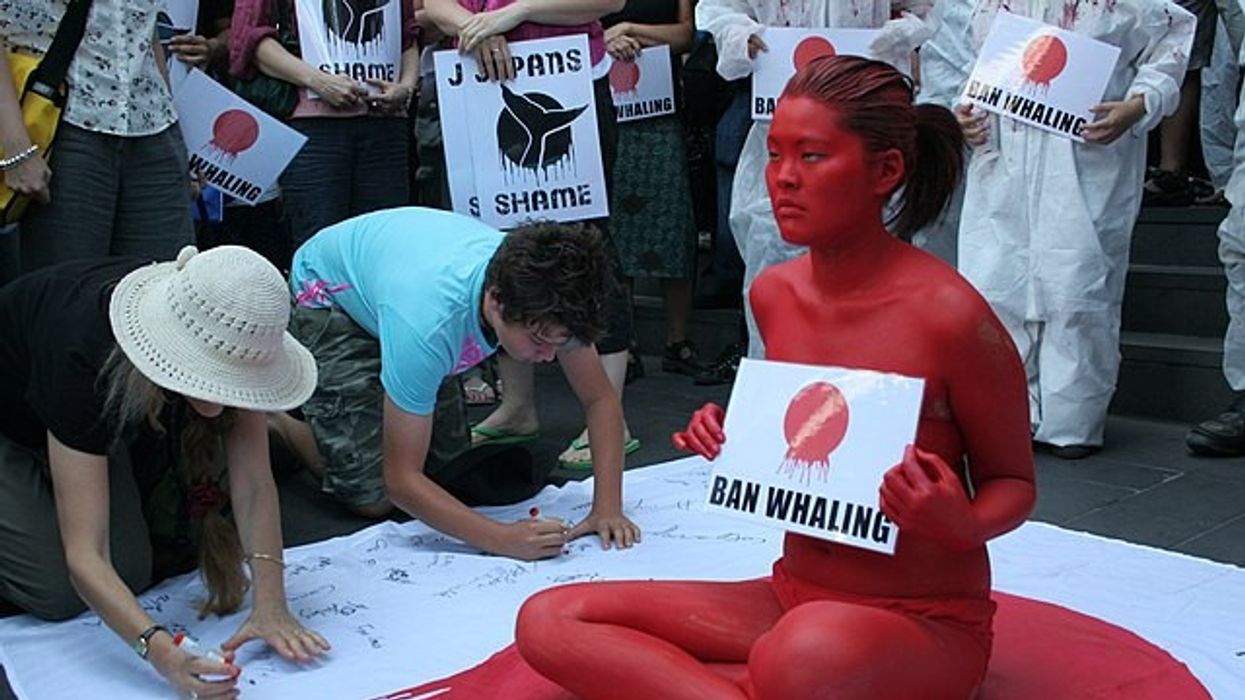 Anti-whaling protest outside Japanese Consulate.