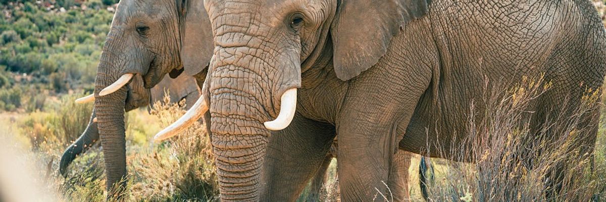 Aquila Private Game Reserve In South Africa