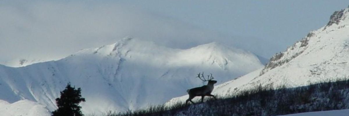 Arctic National Wildlife Refuge