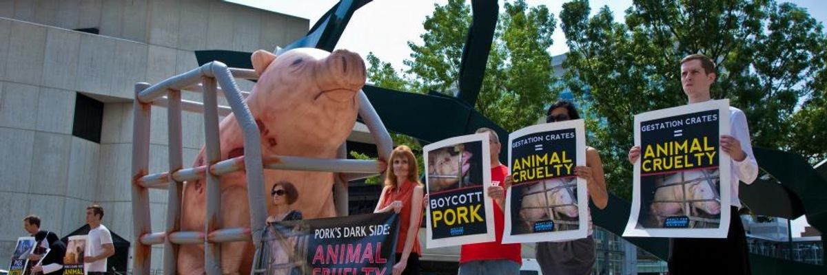 Accused of 'Terrorism,' Animal Rights Activists Head to Federal Court