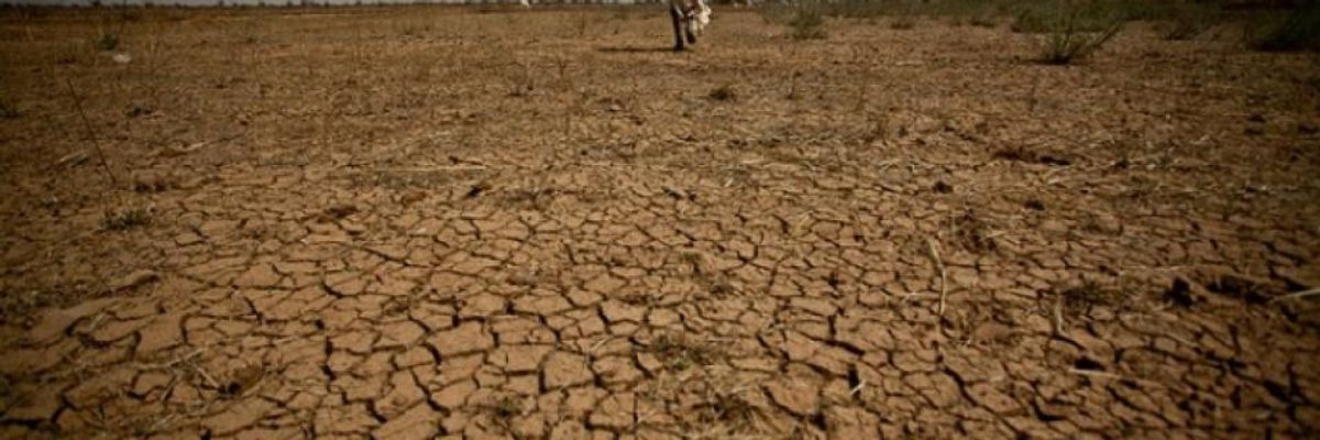 Citing $69 Trillion Price Tag by 2100, Moody's Warns Central Banks of Far-Reaching Economic Damage of Climate Crisis